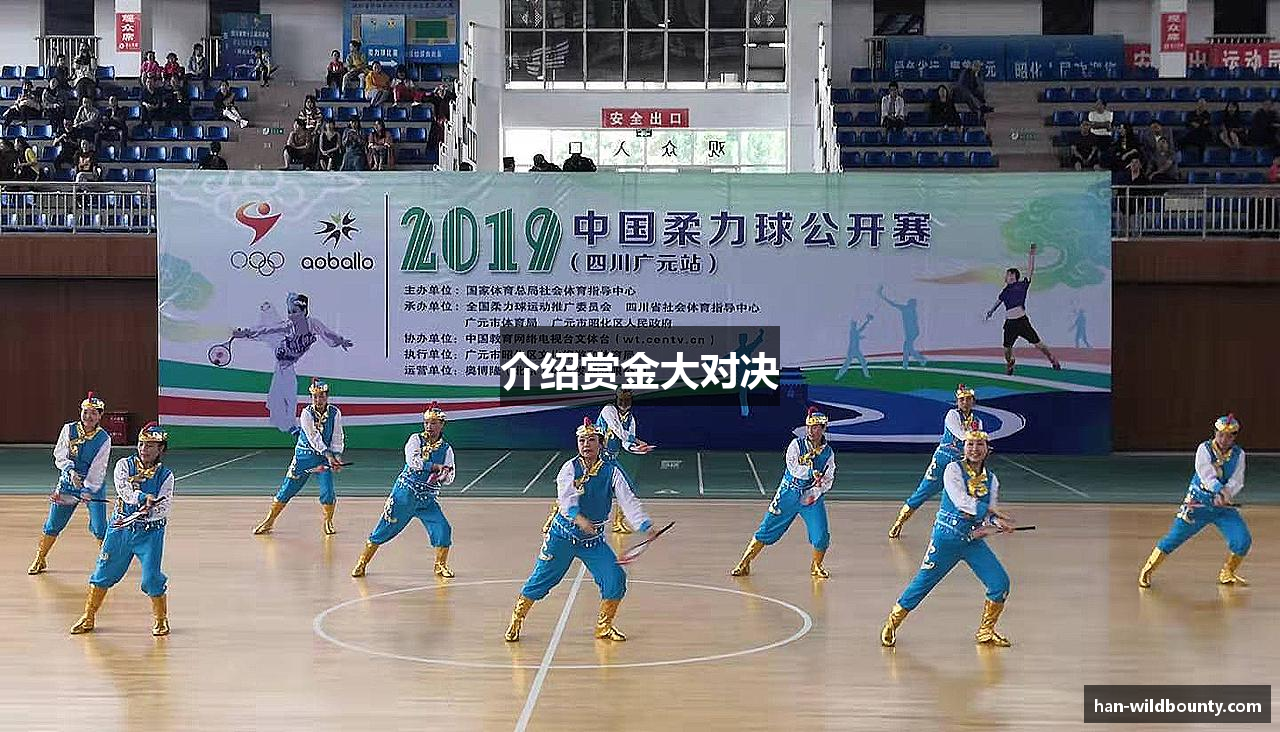 介绍赏金大对决